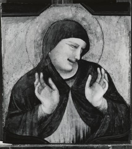 Hobbs, Sherley — Pietro da Rimini - sec. XIV - Madonna addolorata — particolare